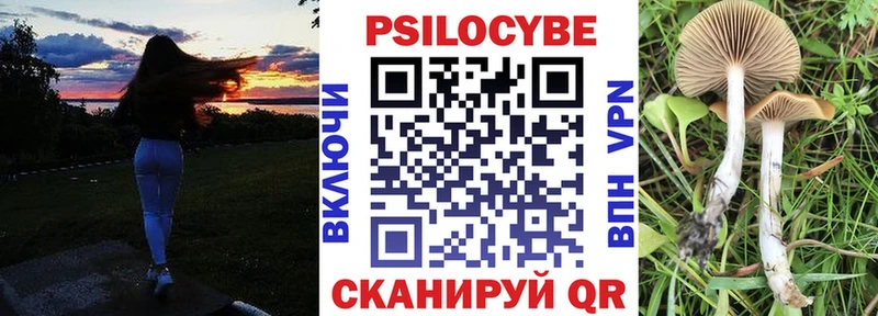 Галлюциногенные грибы Psilocybine cubensis купить Томилино
